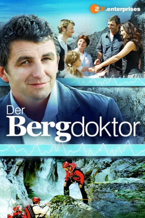 Der Bergdoktor (2008) film posteri
