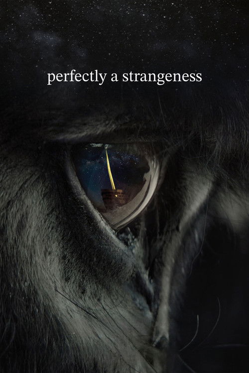 Perfectly a Strangeness (2024) film posteri