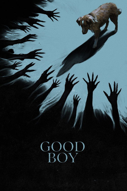 Good Boy (2025) film posteri