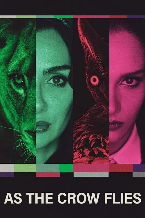 Kuş Uçuşu (2022) film posteri