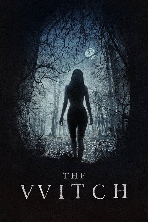 The Witch (2015) film posteri