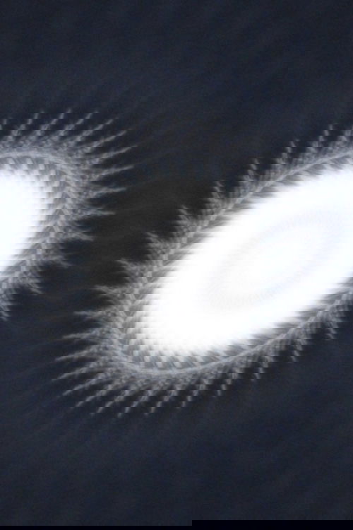 Crossing (2024) film posteri