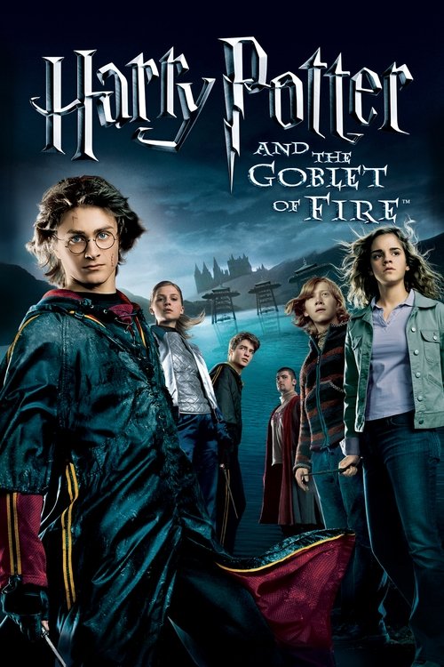 Harry Potter and the Goblet of Fire (2005) film posteri