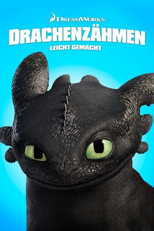 Drachenzähmen leicht gemacht (2010) film posteri