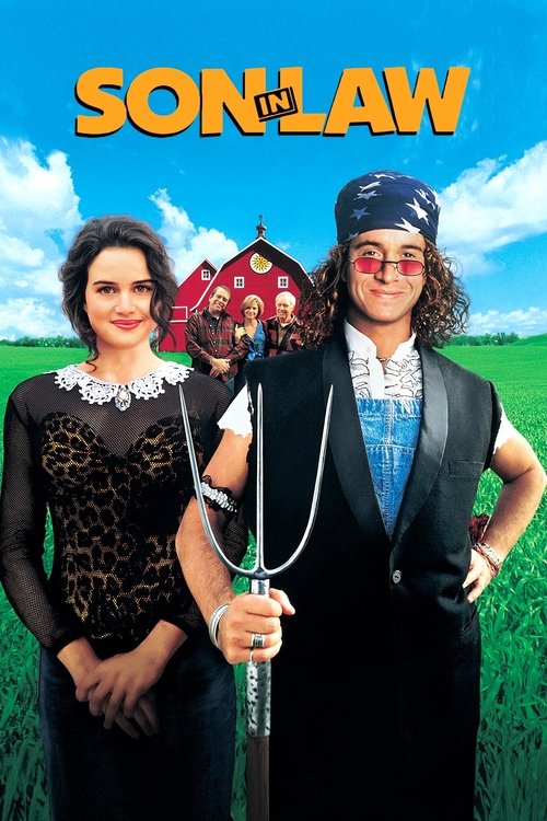 Son in Law (1993) film posteri