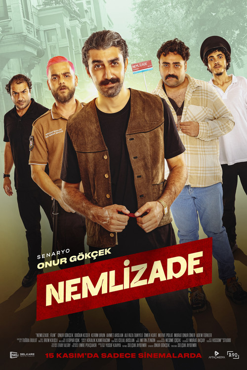 json Nemlizade 1777566931 Nemlizade (2024)
