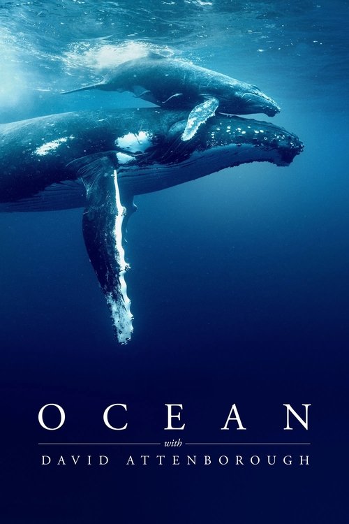 Ocean with David Attenborough (2025) film posteri