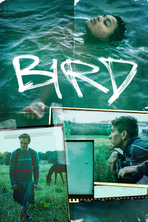 Bird (2024) film posteri