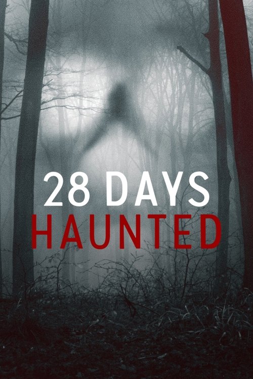 28 Days Haunted (2022) film posteri