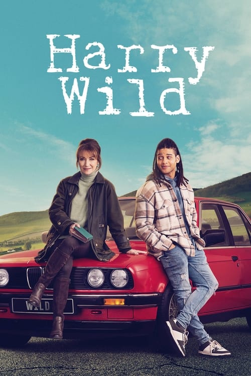 Harry Wild – Mörderjagd in Dublin (2022) film posteri