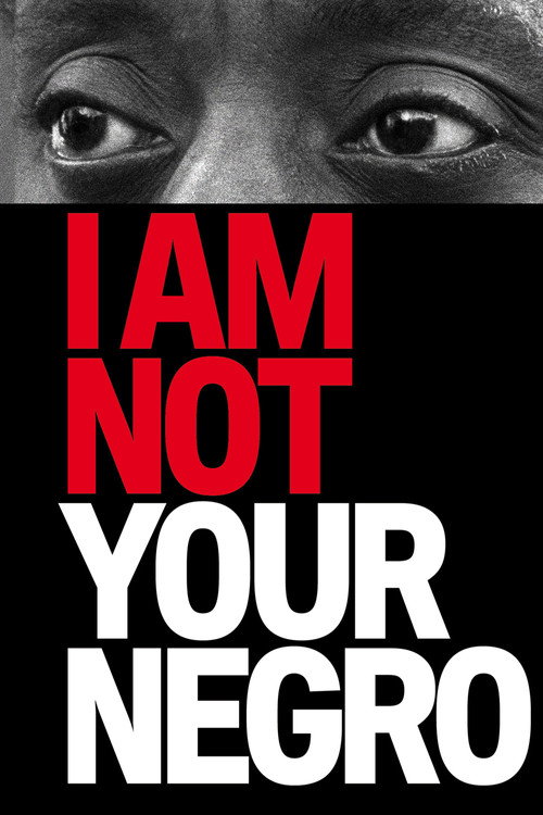 I Am Not Your Negro (2017) film posteri
