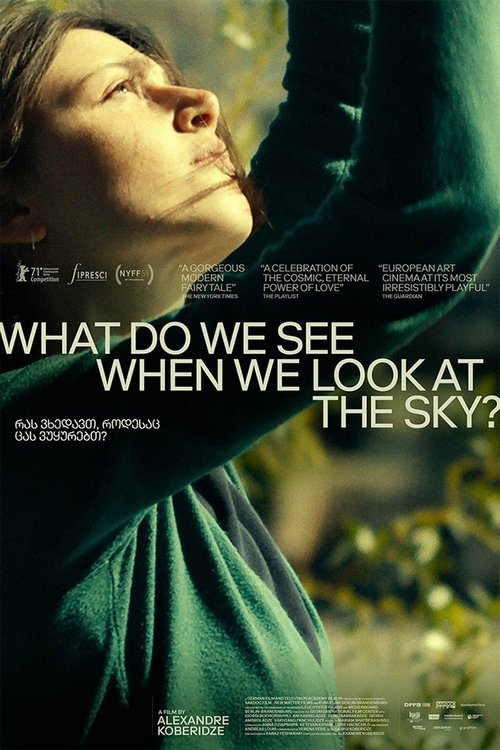 w4n2Furdryy0tAsJZWNiB8CsYvI What Do We See When We Look at the Sky? (2021)