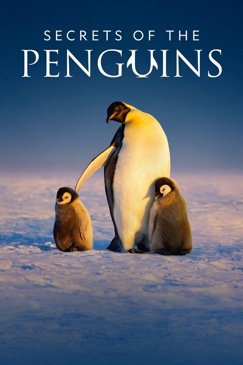 Secrets of the Penguins (2025) film posteri