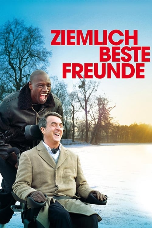 Ziemlich beste Freunde (2011) film posteri