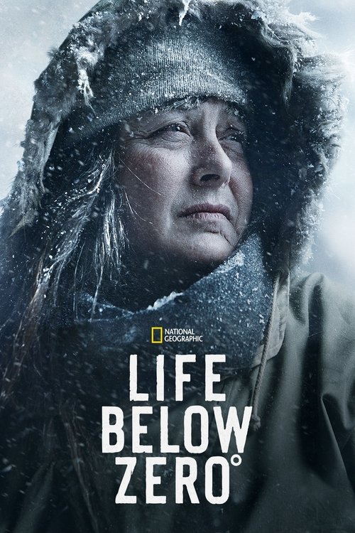 Life Below Zero (2013) film posteri