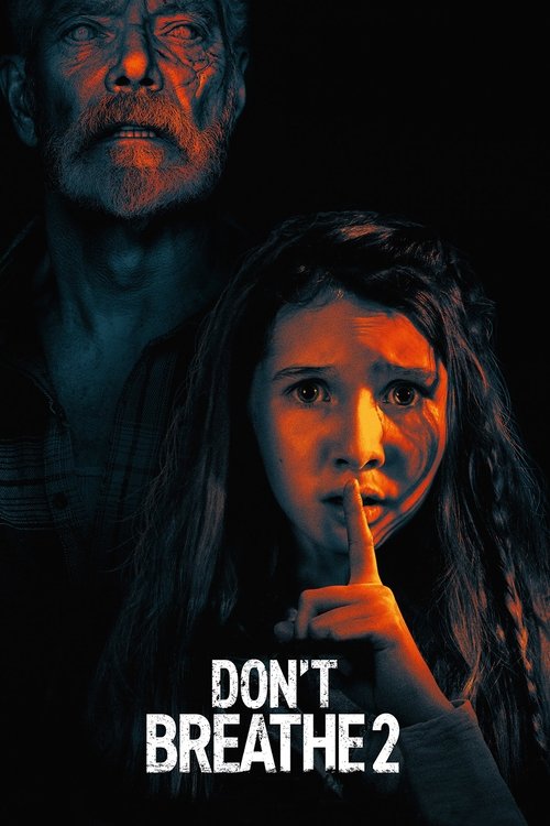 Don’t Breathe 2 (2021) film posteri