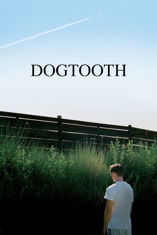 Dogtooth (2009) film posteri