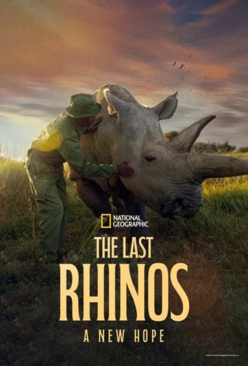 fG0FMtUUic1tTaoIekocFJoWdO8 The Last Rhinos: A New Hope (2025)