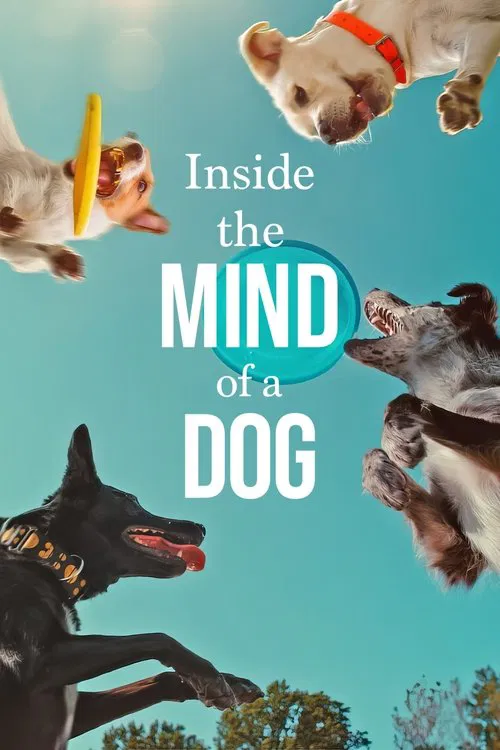 Köpeklerin Aklından Neler Geçiyor? (2024) film posteri