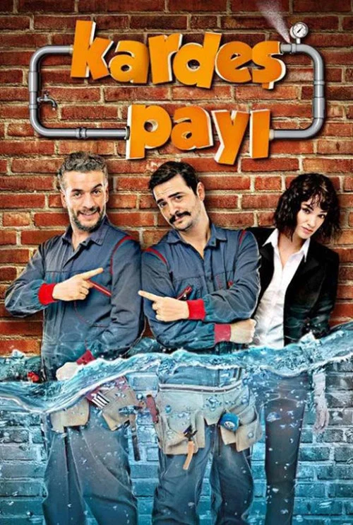 Kardeş Payı (2014) film posteri