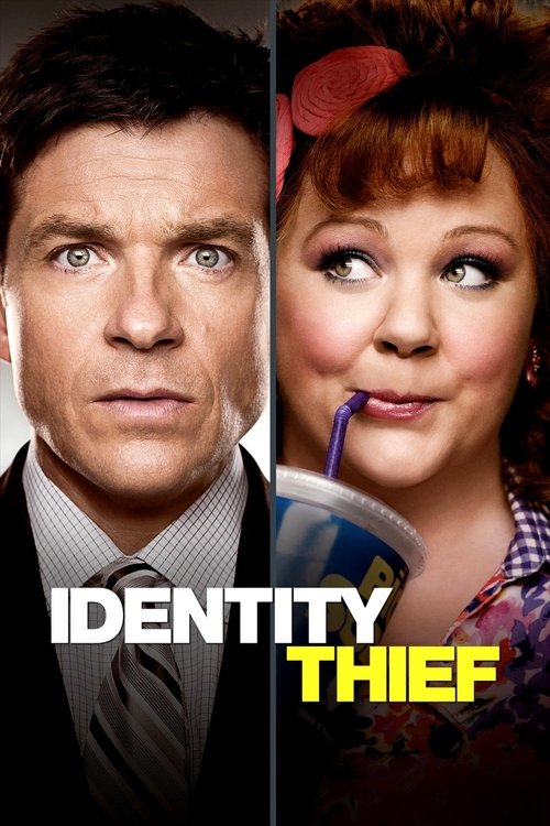 lIliJCGoWT6tEVaDivLpXEf038w Identity Thief (2013)
