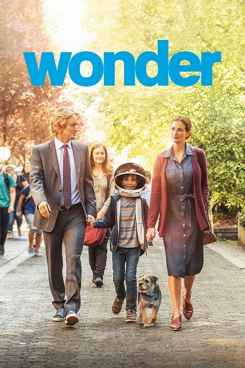 sONh3LYGFcVDTy8pm1tbSOB13Li Wonder (2017)