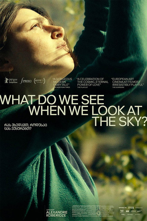 What Do We See When We Look at the Sky? (2021) film posteri
