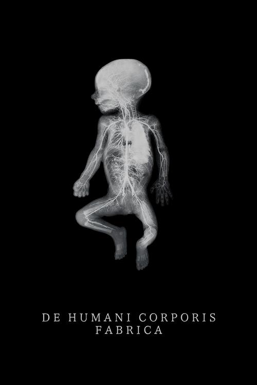 Fabric of the Human Body (2023) film posteri