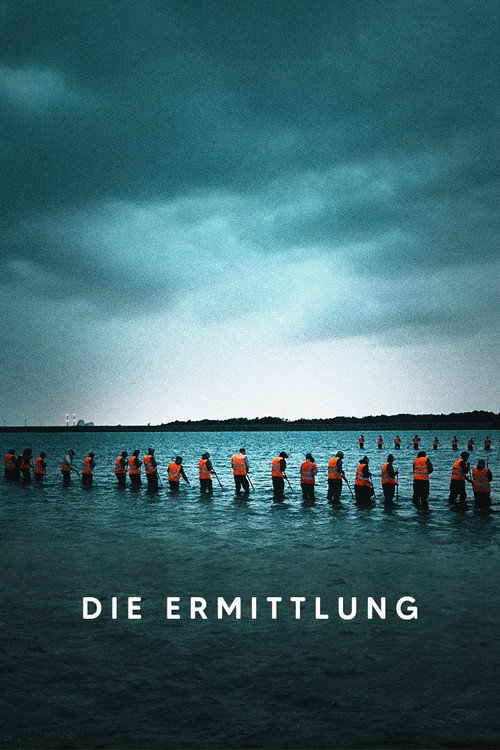 The Investigation – Der Mord an Kim Wall (2020) film posteri