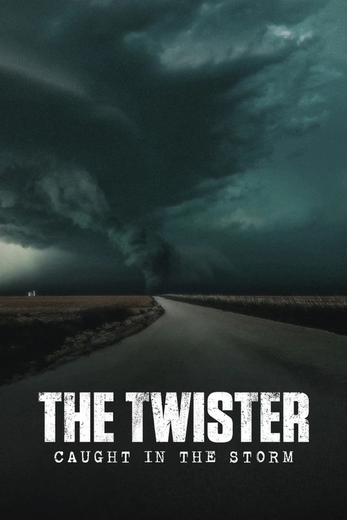 The Twister: Caught in the Storm (2025) film posteri