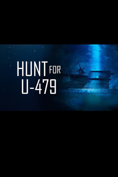 Hunt For U-479 (2009) film posteri